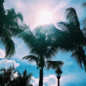 Meet your Posher, Carly